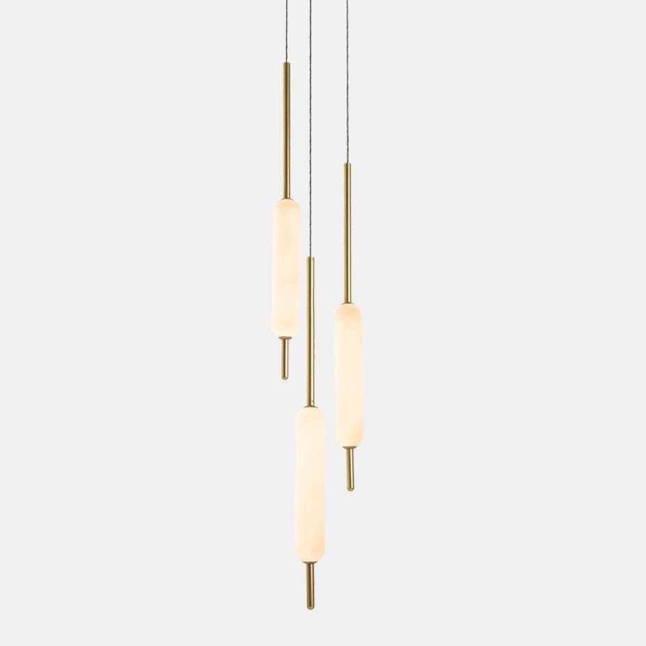 Typha