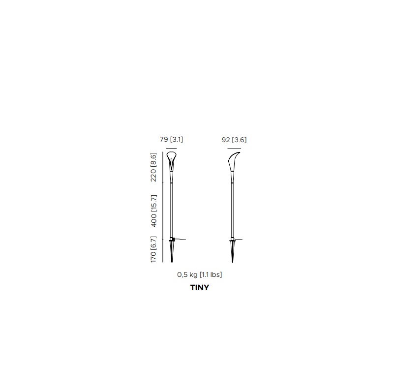 Bloom Tiny | Long