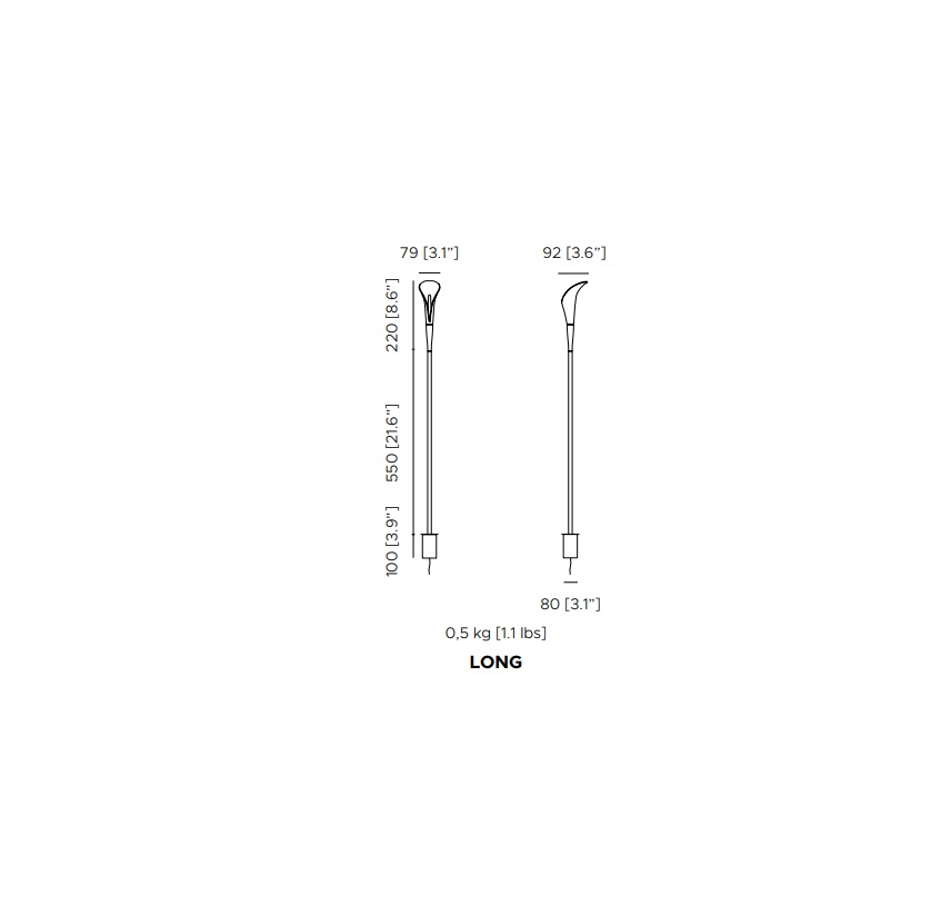Bloom Tiny | Long