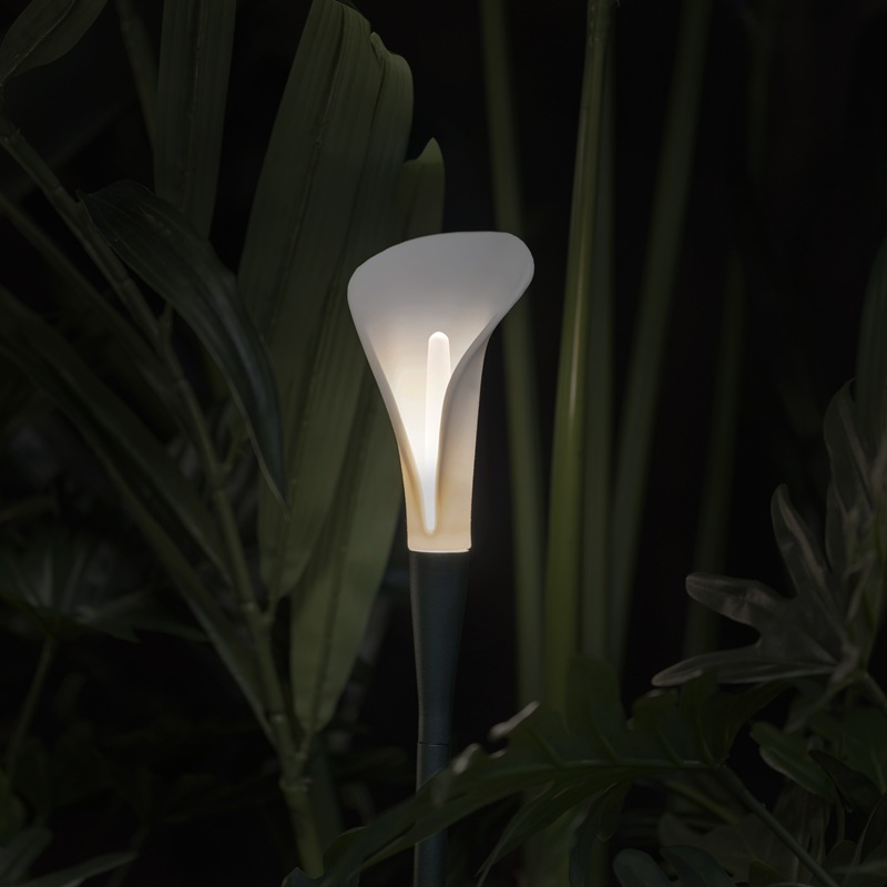 Bloom Tiny | Long